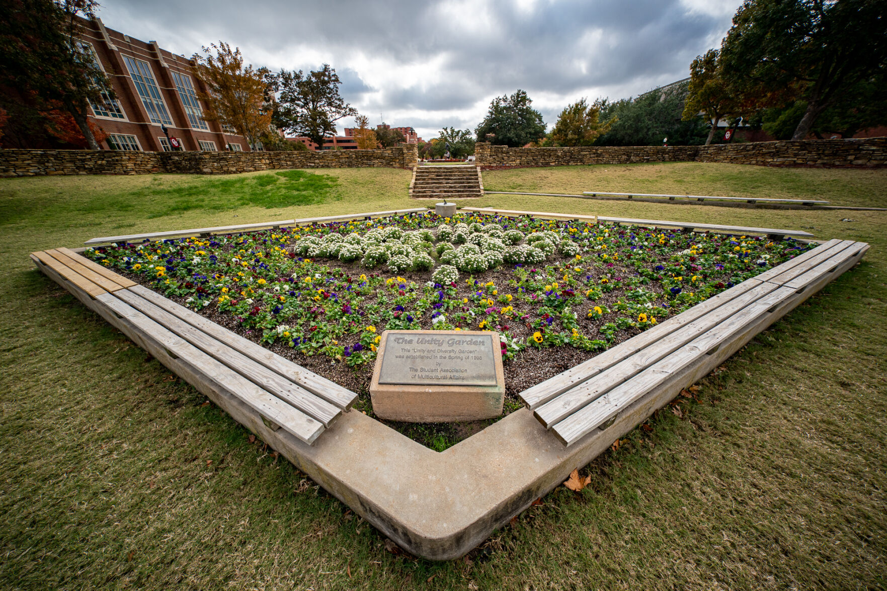 Unity Garden mums